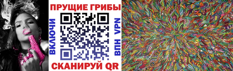 Галлюциногенные грибы Psilocybine cubensis  нарко площадка официальный сайт  Сретенск  где найти  